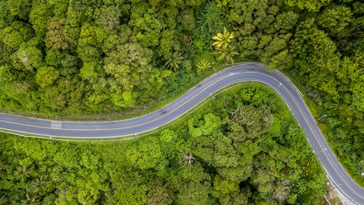 An aerial view of road surrounded by growing lush trees in Phuket jungle