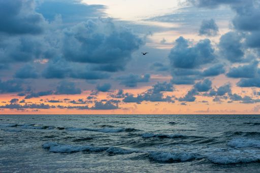 A beautiful scenic view of a seagull flying high over a blue wavy sea under cloudy sky at sunset