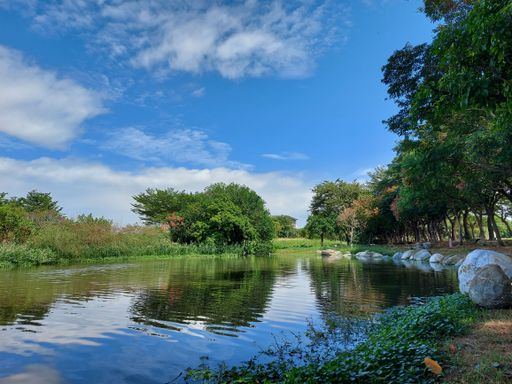 A beautiful view of the calm lake in park of Taiwan surrounded by lush green trees under blue sky