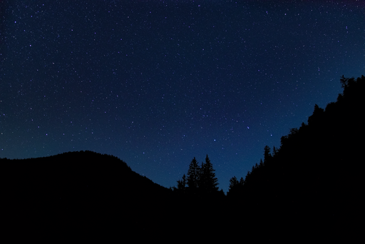 The mountains covered with trees in shadow and starry sky at night in the background