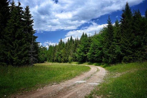 A narrow countryside road among the trees under cloudy blue sky