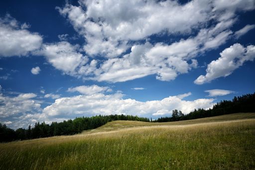 A beautiful landscape of a slope of a green mountain