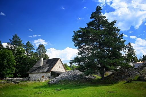 A rural house in fir trees on a sunny morning