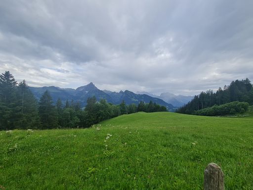 A beautiful shot of a green field with mountains and trees under the big white clouds