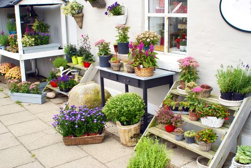 A beautiful yard full of green plants and pots with different kinds of flowers
