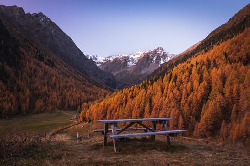 A wooden bench between two hills covered with yellow trees with the beautiful snow covered mountains in the background