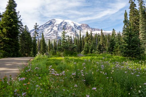 A scenic view of rocky mountains in Mount Rainier National Park, Washington, in sunlight
