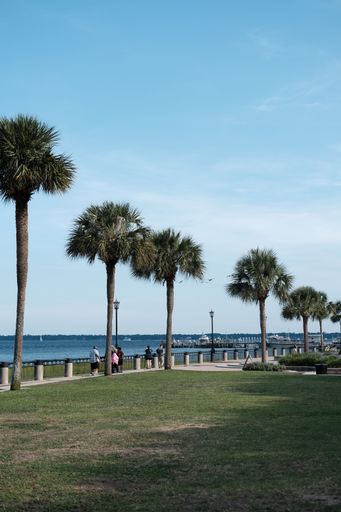 A vertical shot of the bridge of Lions with palm trees and people enjoying the sea view