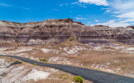 A scenic view of the Blue Mesa Trailhead inside Petrified Forest National Park, Arizona