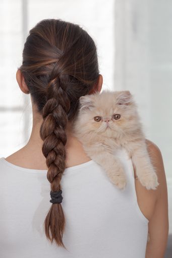 A vertical shot of an adorable domestic cat on a females' shoulder