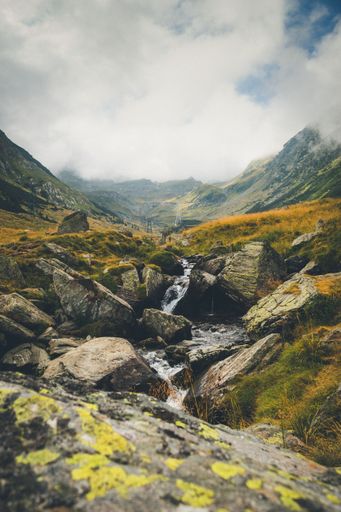 A natural view of mossy rocky creek in the countryside on a foogy day