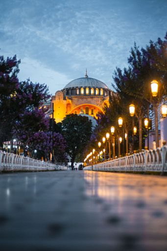 A low-angle shot of a mosque from a beautiful park in Istanbul, Turkey