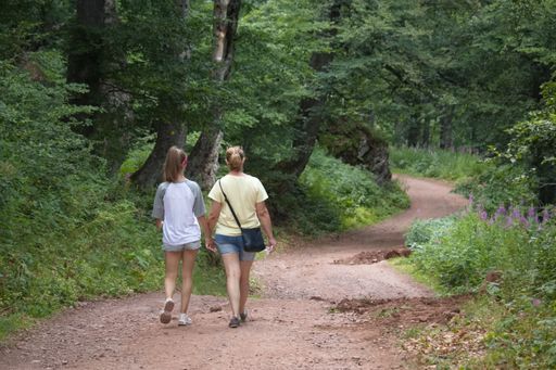 A back view of two women walking through footpath surrounded by growing dense trees