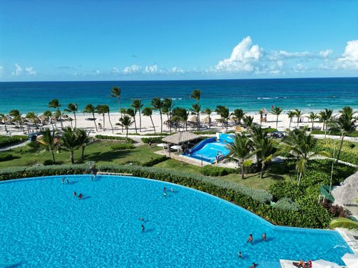 A beautiful view of people swimming in a pool with palm trees