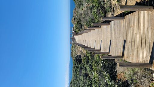 A vertical shot of a wooden path surrounded with plants leading to the sea under the blue sky