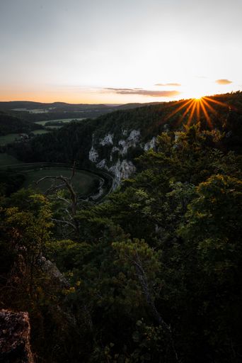 A vertical shot of a beautiful forest landscape with the sun shining over the hills
