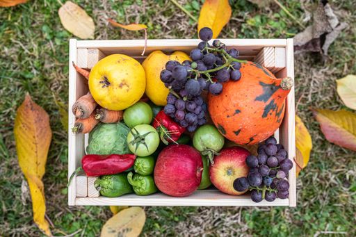 A top view of fruits and vegetables in a wooden box on the grass