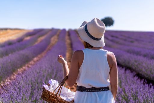 A Caucasian woman in a white dress in a summer lavender field with purple flowers in Brihuega, Spain