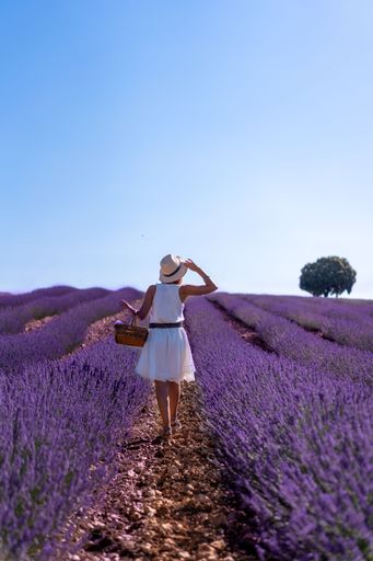 A Caucasian woman in a white dress in a summer lavender field with purple flowers in Brihuega, Spain