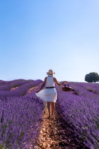 A Caucasian woman in a white dress in a summer lavender field with purple flowers in Brihuega, Spain