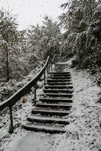 A vertical shot of a staircase covered with white snow in a winter forest