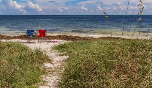A scenic view of beach chairs on a sandy beach and green grass against a blue sea