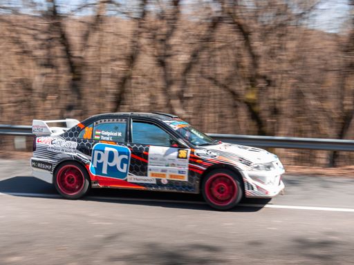 Sport car speeding in the woods