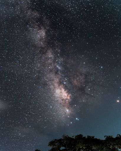 A vertical low-angle view of the starry Milkyway