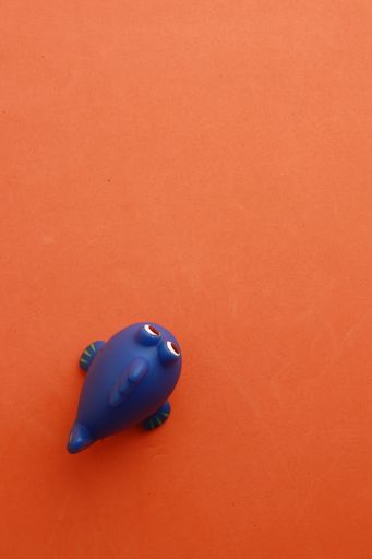 A top view of a blue toy fish for a bathtub on an orange background
