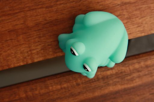 A top view of a green frog rubber toy on a wooden surface