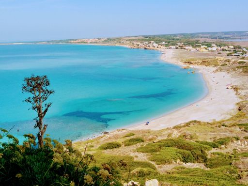 A scenic view of a sandy beach covered with greenery against the turquoise sea