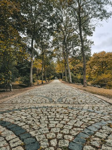 A vertical shot of a stone footpath with a pavement in a park with beautiful foliage