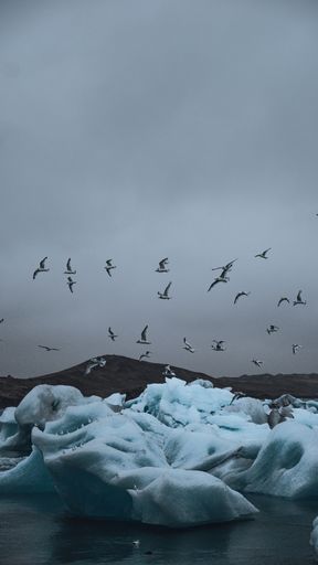 A vertical shot of seagulls flying over icebergs with a background of a dark sky