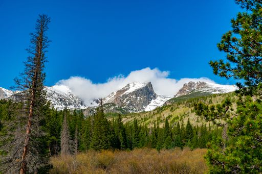 An aerial view of a beautiful forest near the mountains in Colorado, USA
