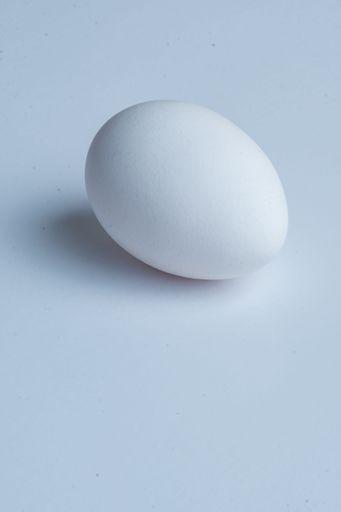 A vertical shot of a white egg on the white background
