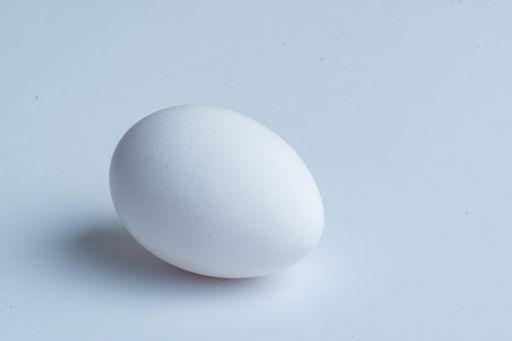 A closeup shot of a white egg on the white background