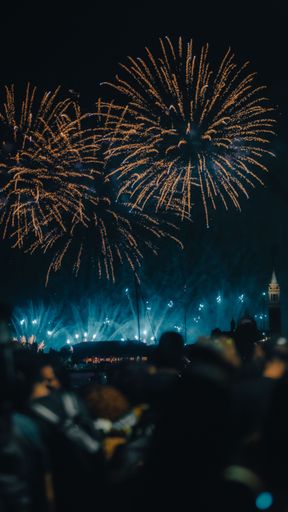 A vertical shot of people watching fireworks in the night sky
