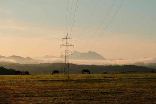 An aerial view of horses grazing in greenery field