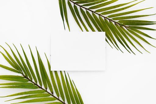 A top view of a blank square paper surrounded by palm leaves isolated on a white background