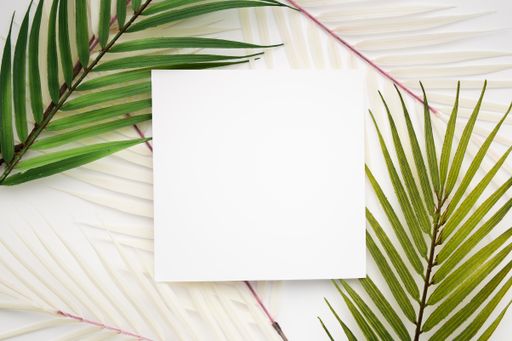 A top view of a blank square paper surrounded by palm leaves isolated on a white background