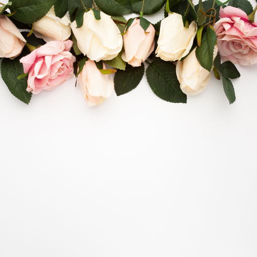 A top view o beautiful roses isolated on a white background with space for text