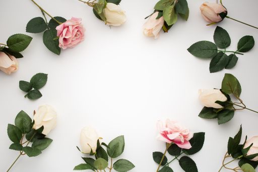 A top view o beautiful roses isolated on a white background with space for text