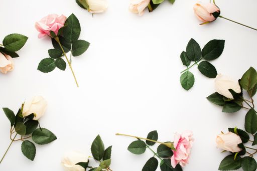 A top view of beautiful roses isolated on a white background with space for text