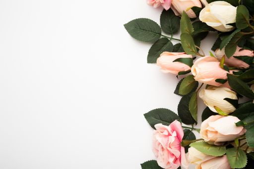 A top view o beautiful roses isolated on a white background with space for text