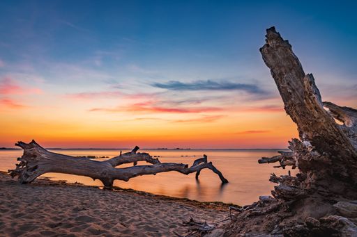 A long exposure of sunset sky clouds over the Baltic Sea with fallen dry tree trunks