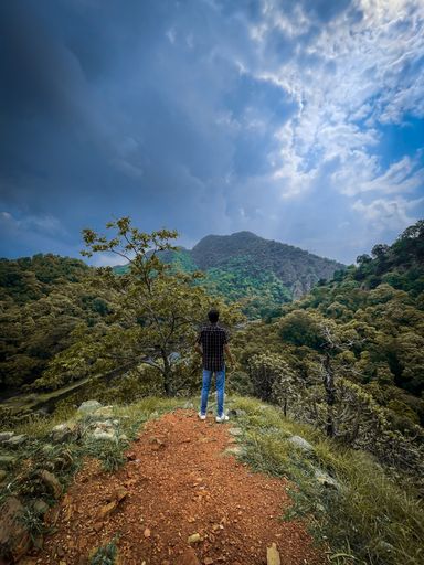 Alone travelling in jungle with nature