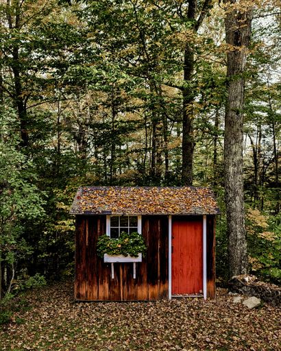 A vertical shot of a cozy shed in the woods at leaf-fall