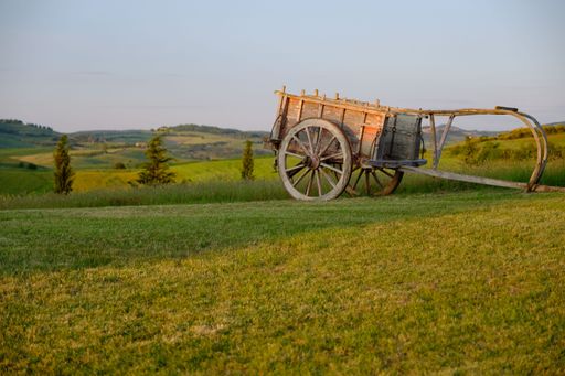 A landscape of green land meadow plains with trees and wooden cart under blue sky in Tuscany, Italy