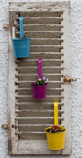 A vertical shot of potted plants hanging from old door