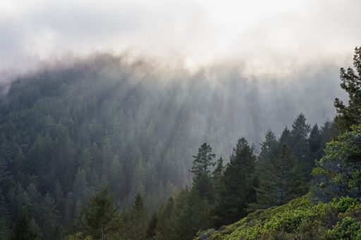 A beautiful aerial shot of sun rays dispersing the mist over the forest
